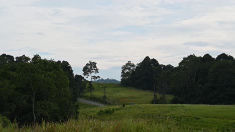 A-footage-of-this-beautiful-landscape-at-Khao-Yai-National-Park-with-cars-moving-up-and-down-the-road,-Thailand