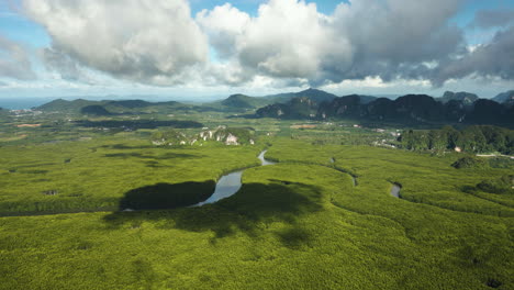 Prístino-Bosque-De-Manglares-En-La-Costa-Del-Lago-Krabi,-Hábitat-Natural-Del-Ecosistema-Protegido