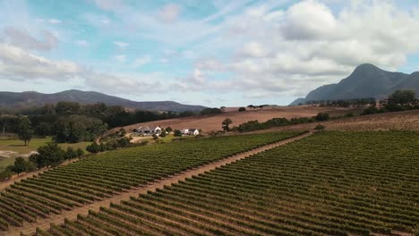 Wine-vineyards-cover-rolling-hills-with-an-old-manor-house-and-mountains-and-fields