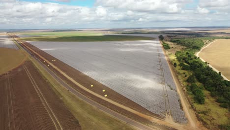 Drone-view-of-cotton-plantation-in-Brazil