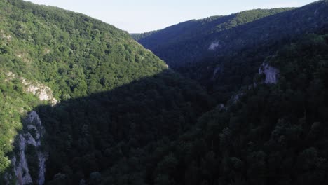 forest-on-small-mountains-in-a-valley-created-by-a-river,-aerial