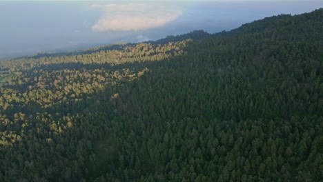 Luftaufnahme-Einer-Endlosen-Waldlandschaft-In-Indonesien