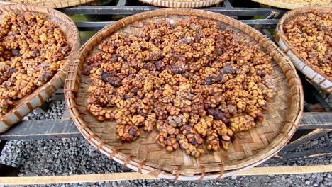 Berühmte-Luwak-Zibetkaffeesamen-Werden-Draußen-In-Weidenkörben-Ausgestellt