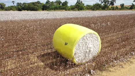 Baumwollballen-Und-Plantage-In-Brasilien