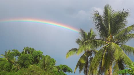 Rainbow-Over-Palm-Trees-in-the-Philippine-Sky-After-Rainfall