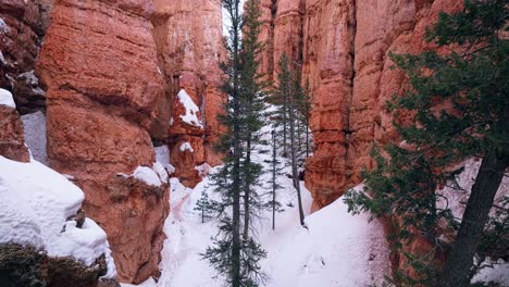 Distinctive-Rock-Formations-During-Winter-At-Bryce-Canyon-National-Park-In-Utah,-United-States