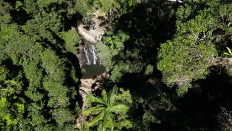 Ein-Abgeschiedener-Australischer-Billabong-Und-Wasserfall,-Der-Tief-Zwischen-Den-Dichten-Regenwaldbäumen-Versteckt-Ist