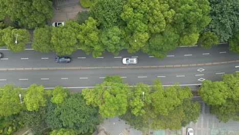 Aerial-drone-shot-of-with-road-and-elctronic-car-and-peaceful-surroundings-by-trees-at-Pu-Tuo-Qu-district-,-Shanghai-China