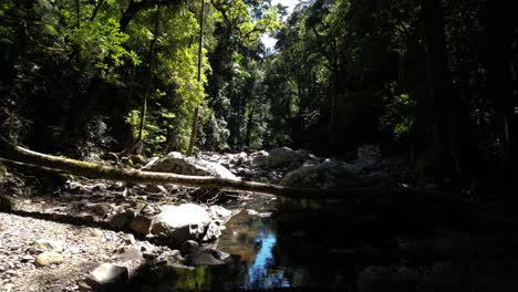 Travelling-along-a-secluded-Australian-rainforest-creek-with-sunlight-flickering-through-the-trees