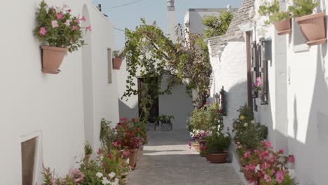 White-house-alley-with-colorful-flowers-in-Alberobello