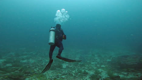 aquatic-shot-of-diver-exploring