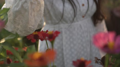 Ein-Kleines,-Weiß-Gekleidetes-Mädchen-Hält-Während-Des-Sonnenuntergangs-In-Einem-Feld-Voller-Wildblumen-Eine-Rosa-Zinnia-Blume
