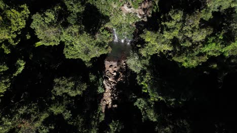 Durch-Die-Regenwaldbäume-Taucht-Ein-Abgeschiedener-Wasserfall-Auf-Und-Gibt-Den-Blick-Auf-Ein-Natürliches-Badeloch-Frei