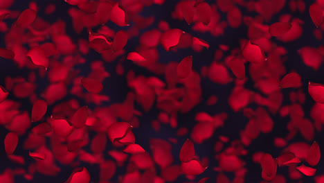 Valentine-Petals-LOOP-TILE-Background-Swirl