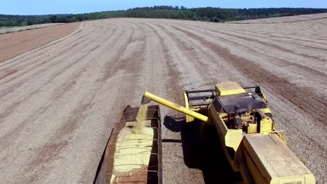 Maschinen-Ernten-Mais-Auf-Einem-Feld