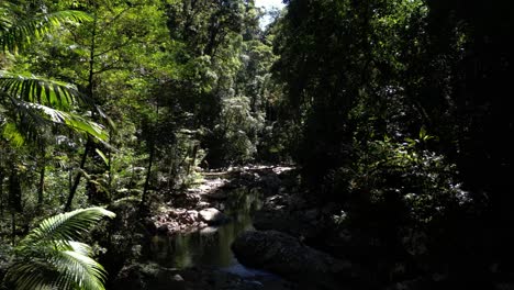 Travelling-along-a-secluded-Australian-rainforest-creek-with-sunlight-flickering-through-the-trees