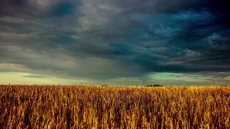 Maize-Farmland-Time-lapse-While-Clouds-Unfold-Over-Latvian-Fields-in-a-Dramatic-Stormy-Landscape