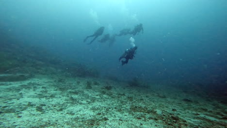 aquatic-shot-of-divers-exploring