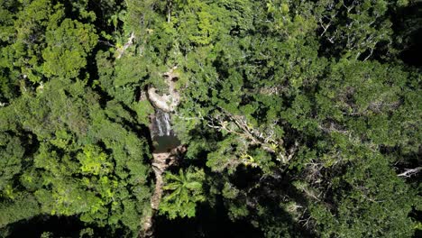 Ein-Natürliches-Badeloch-Und-Ein-Wasserfall,-Versteckt-Tief-Im-Dichten-Tropischen-Regenwald