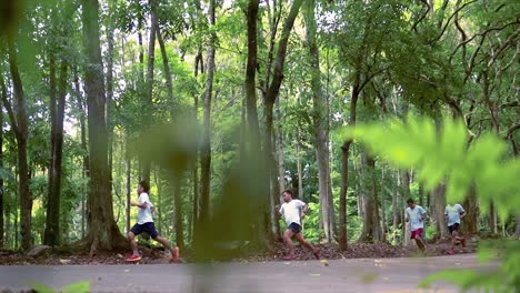 Atletas-Corriendo-En-El-Bosque