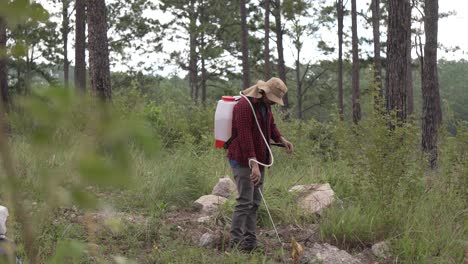 Long-shot-of-a-man-forest-ranger-working-with-a-backpack-sprayer-in-the-forest,-he-wears-a-red-shirt-and-a-hat