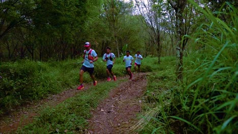 dolly-in-shot-of-runners-running-in-the-forest