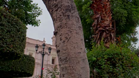 Left-to-right-reveal-of-Arequipa-Cathedral's-left-tower,-emerging-from-local-vegetation-with-an-antique-streetlamp-in-view
