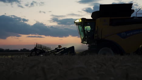 New-Holland-combine-harvester-harvests-wheat-field-at-twilight,-drone-trucking