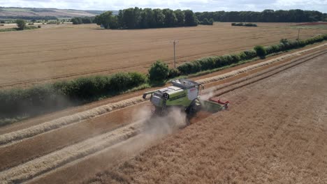 Aerial-footage-of-a-combine-harvester-and-tractor-harvesting-a-wheat-crop