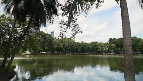 Großer-Teich-Im-Lumpini-Park-Bangkok-Thailand