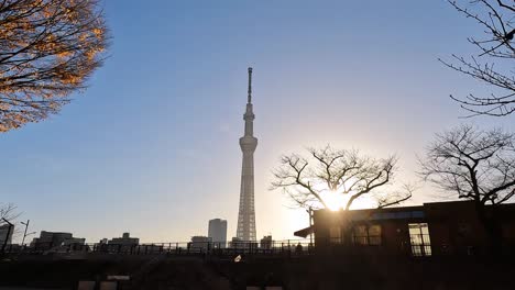 Tokyo-skytree-at-sunrise-on-a-late-autumn-day