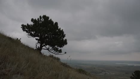 Cloudy-grey-hike-with-singular-tree-on-the-Rocky-Mountainside