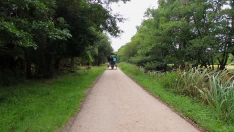 POV:-Horse-drawn-wagon-on-carriage-path-in-Killarney-National-Park-IRE