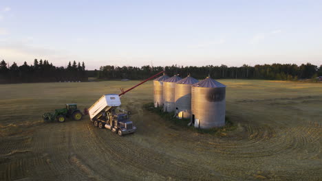 Harvested-wheat-grain-unloaded-and-transferred-to-grain-silos-on-farm