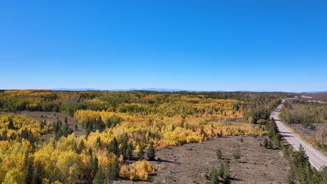 Birds-eye-view-drone-following-the-changing-season-of-the-leaves-in-northern-colorado