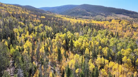 Drohne-Aus-Der-Vogelperspektive,-Die-Den-Wechselnden-Jahreszeiten-Der-Blätter-Im-Norden-Colorados-Folgt