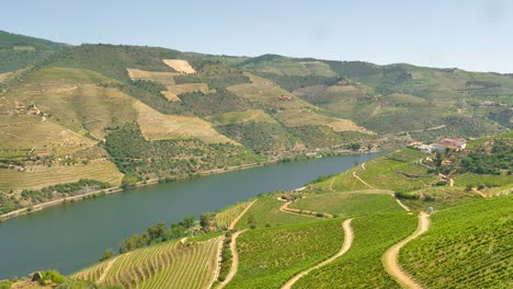 Douro-valley-with-beautiful-vine-terraces,-looking-down-to-the-river