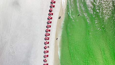 Destin-Florida-straight-down-aerial-drone-shot-of-the-white-sand-beach-and-emerald-green-water-of-the-Gulf-of-Mexico