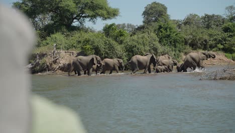 Touristen-Blicken-Von-Einem-Safariboot-Aus-Auf-Eine-Elefantenherde,-Die-In-Der-Mittagssonne-Den-Sambesi-überquert