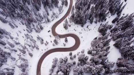 winter-wonderland-road-in-the-nature-of-the-dolomites