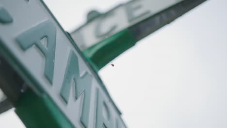 Close-up-of-spider-naturally-navigating-and-creating-its-web-on-a-street-sign-in-northern-michigan