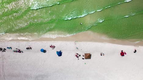 Destin-Florida-trucking-left-straight-down-aerial-drone-shot-of-the-white-sand-beach-and-emerald-green-water-of-the-Gulf-of-Mexico