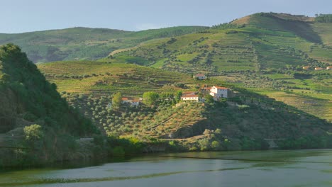 Wunderschöne-Weinberge-Und-Terrassen-In-Der-Douro-Region-In-Portugal