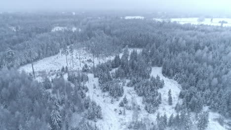 Absteigender-Drohnenblick-über-Eine-Schneebedeckte-Bewaldete-Winterlandschaft