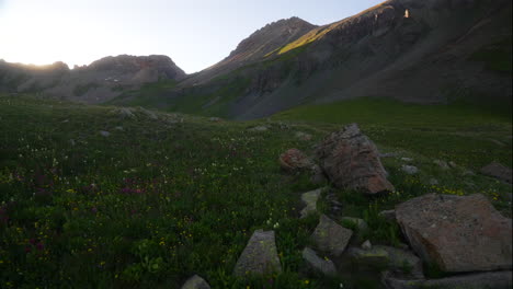 Cinematic-dolly-jib-up-breeze-colorful-wildflower-Colombine-Colorado-last-Dusk-sunset-golden-hour-light-Ice-Lake-Basin-Silverton-Telluride-Ouray-Trailhead-top-of-peak-Rocky-Mountains-landscape