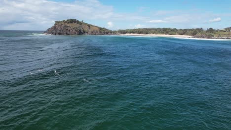 Bottlenose-Dolphins-Swimming-In-The-Scenic-Ocean-In-Norries-Head,-New-South-Wales,-Australia---aerial-drone-shot