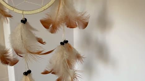 Hanging-Dream-Catcher-Adorned-with-Feathers-in-a-White-Background-Corner-Room-Blowing-in-the-Breeze