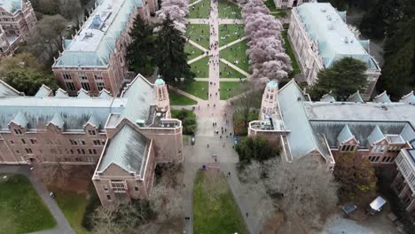 Aerial-approaching-shot-of-The-Quad-at-the-University-of-Washington-with-blooming-cherry-trees-in-Seattle-City,-America