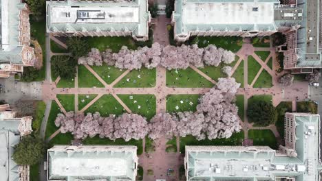 Aerial-top-down-time-lapse-of-walking-people-in-inner-yard-of-The-Quad-at-the-University-of-Washington-in-Seattle,-Washington