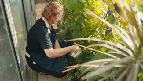 Young-red-haired-woman-with-glasses-watering-the-garden-plants-with-a-metal-bucket